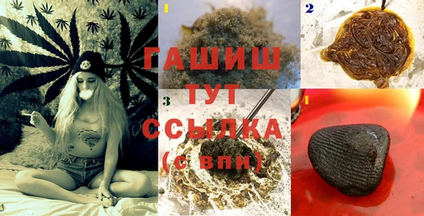 сатива Зеленокумск