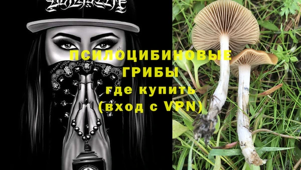 сатива Зеленокумск