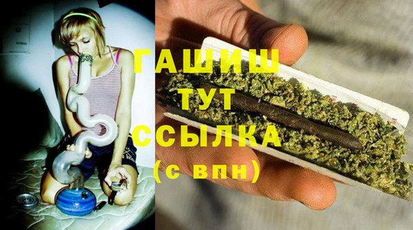 сатива Зеленокумск