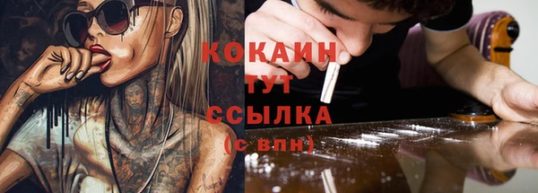 сатива Зеленокумск